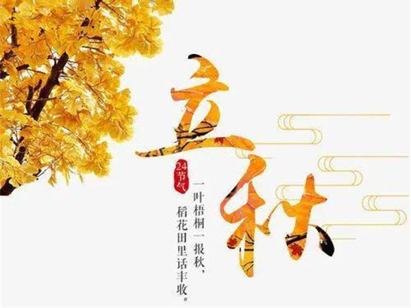 1657612881128176.jpg 官网模块9156.jpg