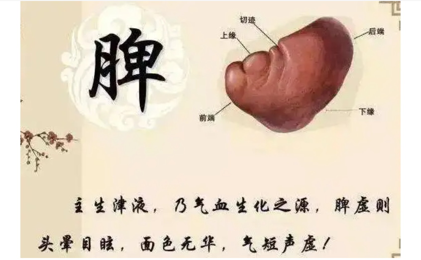 图片2_看图王.jpg