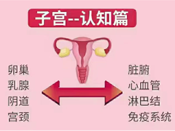官网模块11750.jpg
